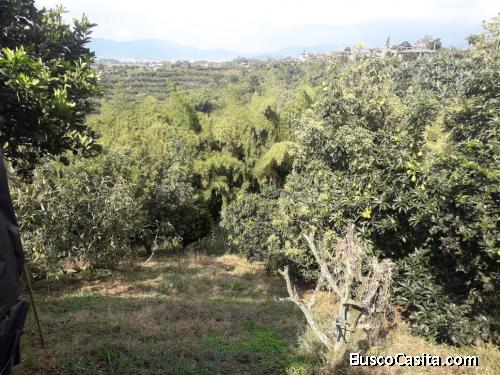 lote /finca vía alta gracia