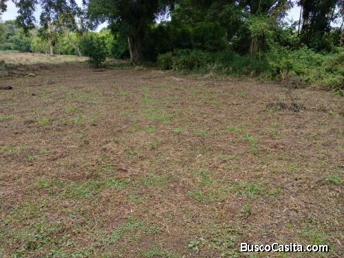VENTA LOTE SECTOR LA VEREDA LA ARBOLEDA SANTANDER DE QUILICHAO-CAUCA