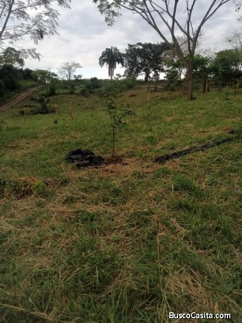 LOTES CAMPESTRES. EXCELENTE UBICACIÓN
