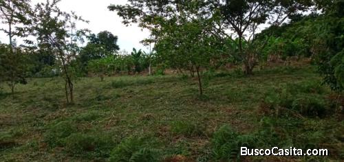 Venta de lotes. clima cálido.