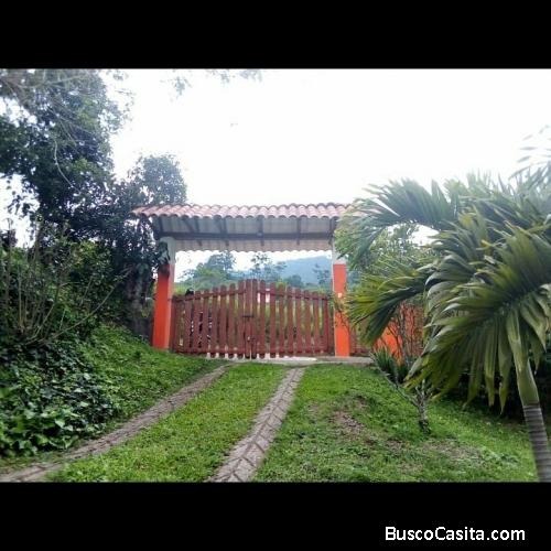 Finca cafetera en venta ubicada en boquerón de ilo 