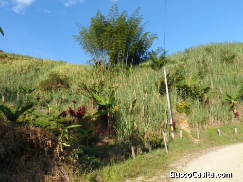 VENTA DE LOTES EN SAN RAFAEL VIA ALEJANDRIA A 8 KMS DEL BIZCOCHO !!!