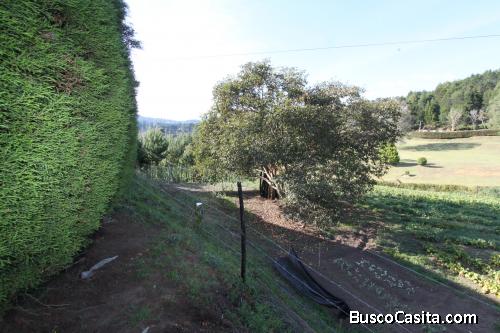 Lote en venta Guarne -vereda el Molino