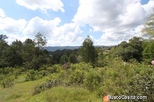 Lote para la venta en Guarne- vereda la clara 