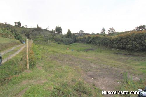Lote para la venta en Guarne- vereda San José 