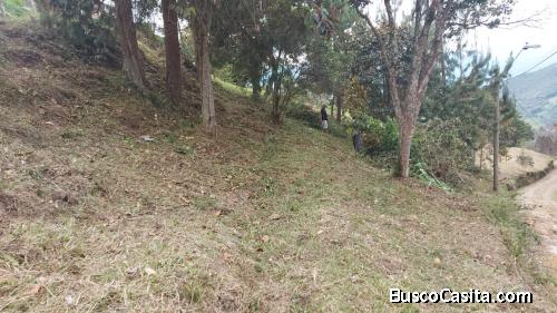 Vendo lote en Guarne