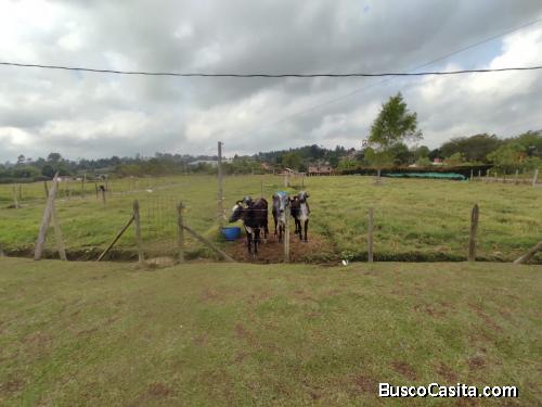 Lote comercial en Guarne