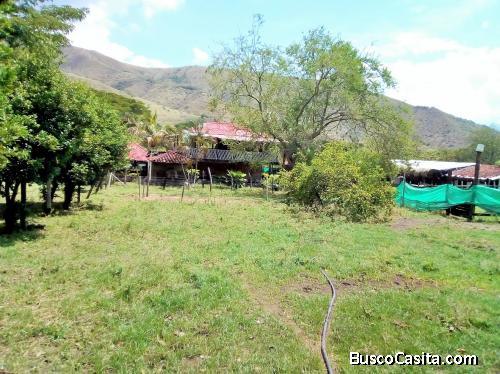 YOTOCO VENDO FINCA URBANA 22.500 mt2