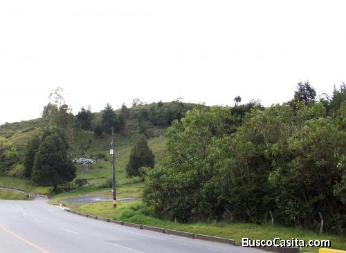 Lote industrial por el Rancherito (Guarne)