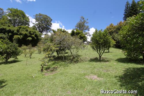 Lote comercial en Guarne