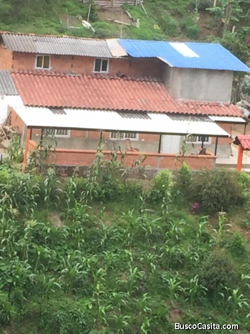 SE VENDE  ESPECTACULAR FINCA PRODUCTORA