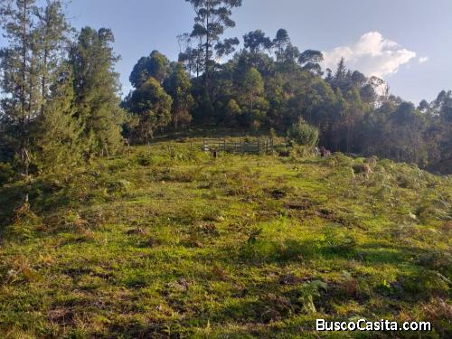 Lote De 21000m2 En San Vicente Vereda La Porquera Gran Oportunidad!