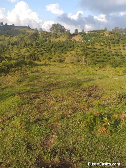 Lote 21000m2 En San Vicente Vereda La Porquera.