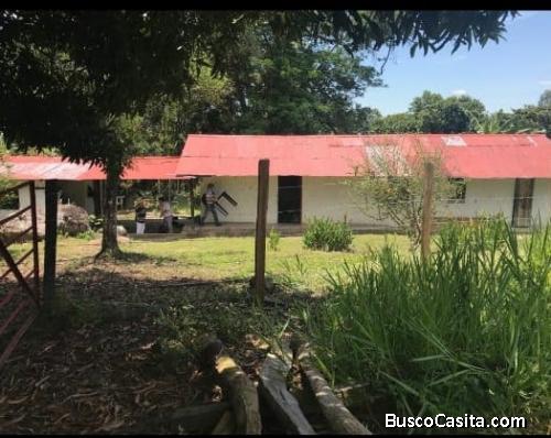 FINCA NILO, CUNDINAMARCA