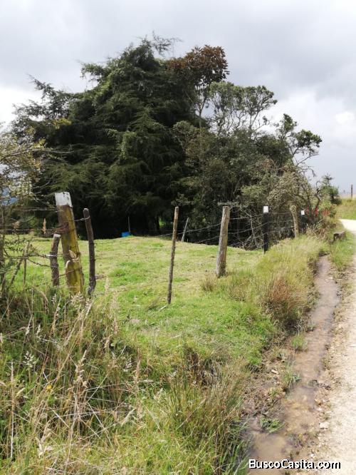 Venta de Lote en La Calera Cundinamarca