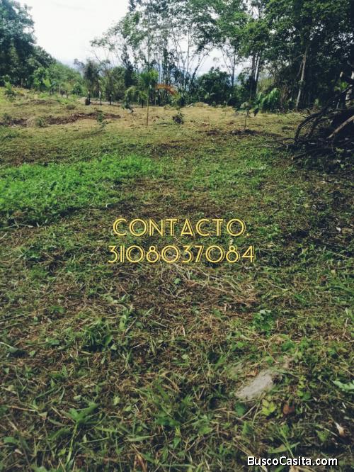 NUEVO PROYECTO!! LOTES CAMPESTRES