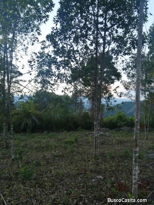 Venta de lotes. clima cálido.