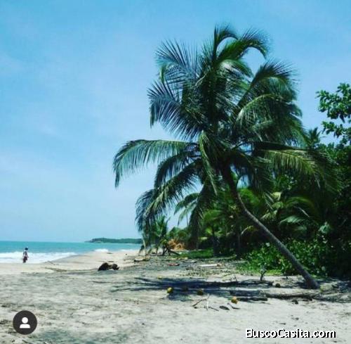 Terreno con Frente Playa en Palomino, Colombia