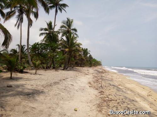 Lotes en La Playa de Palomino, La Guajira