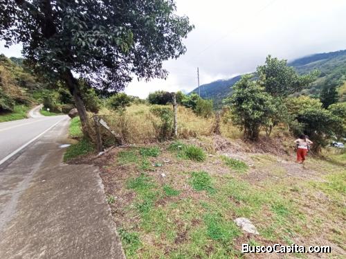 FINCA 11 FANEGADAS VIA VILLETA - GUADUAS