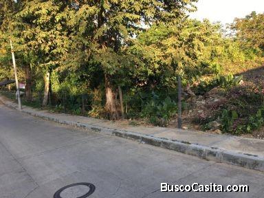 LOTES EN CENTRO DE CHAPARRAL