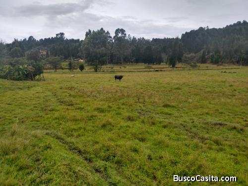 Lote en Guarne, vereda La Hondita