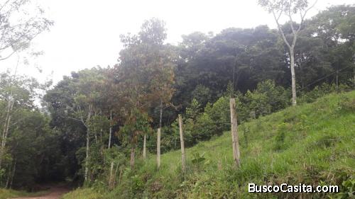 Lote en San Carlos, 11.000 m²
