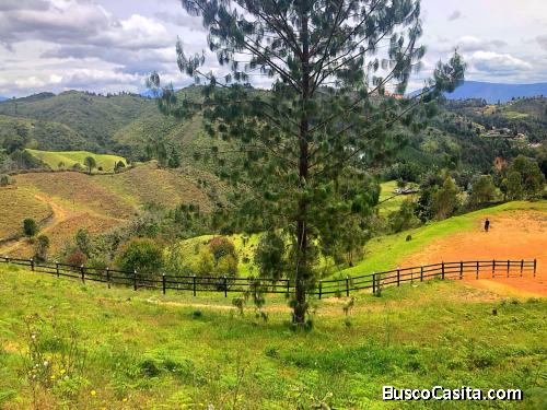 Hermoso Lote en Guarne- Batea seca 