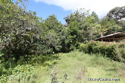 Lote para la venta en Guarne- vereda la clara 