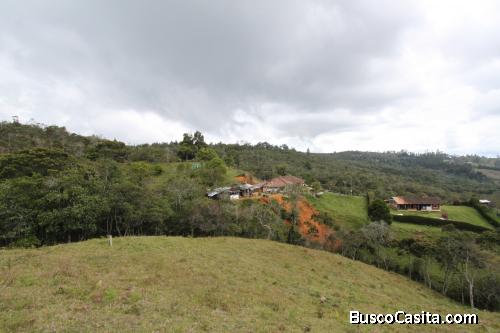 Lote en venta Guarne, Alto de la Virgen