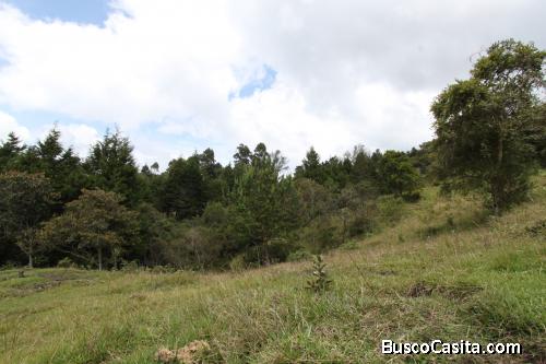 Lote en Guarne, vereda El Molino