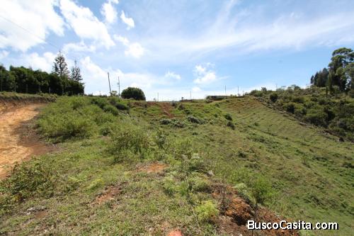 Lote en Guarne vereda Toldas