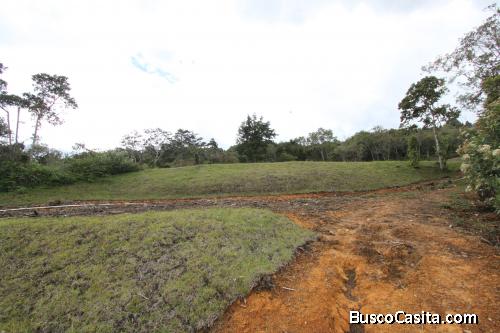 Lote 20.000 mts en El Molino, Guarne