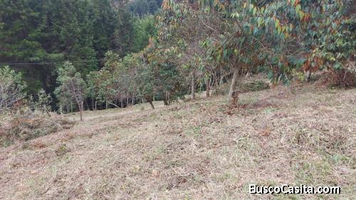 Vendo lote en Guarne