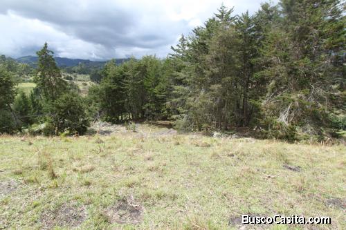 Lote en Rionegro, vía al aeropuerto