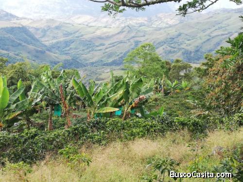 Finca en La Merced, Caldas
