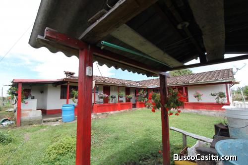 Finca en el Palmar 40.000 mtrs2