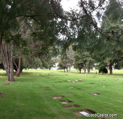 Venta lote doble funebre