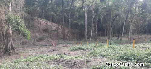 VENDO EXCELENTES LOTES CAMPESTRES. CERCA AL PUEBLO.