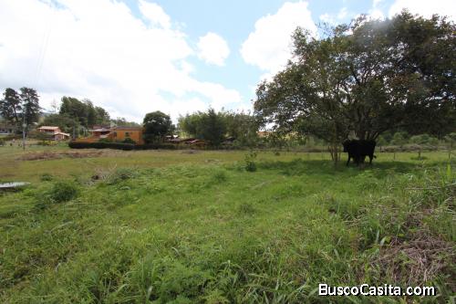 Lote en Guarne, vereda Toldas