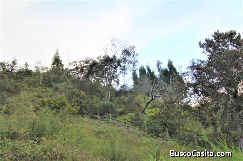 Lote para la venta en Guarne- vereda San José 