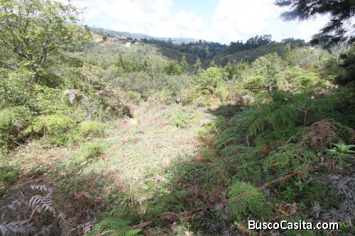 Lote para la venta en Guarne- vereda la mosquita 