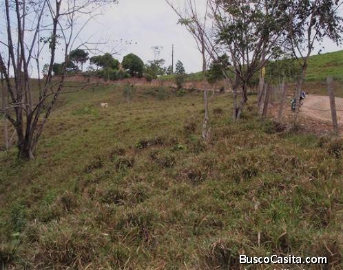 Lote para la venta en Doradal Antioquia 