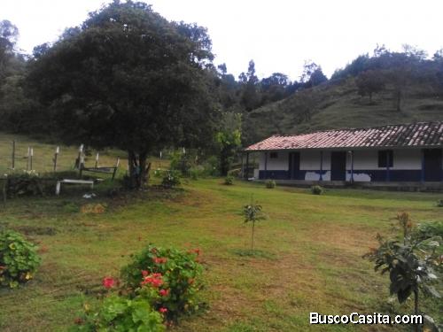 Lote en Guarne, vereda El Molino 19.000 metros
