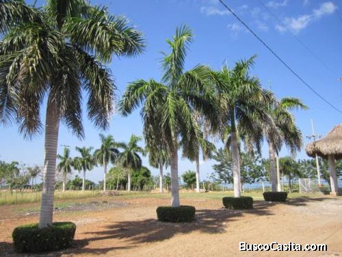 Lote en San Antero Córdoba 