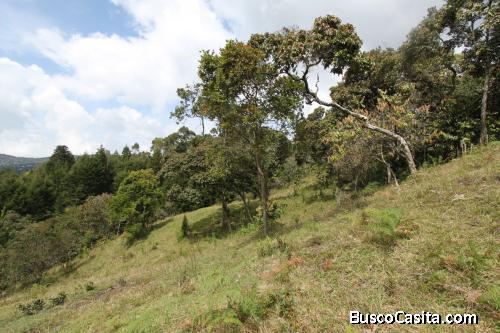 Lote en Guarne, vereda El Molino