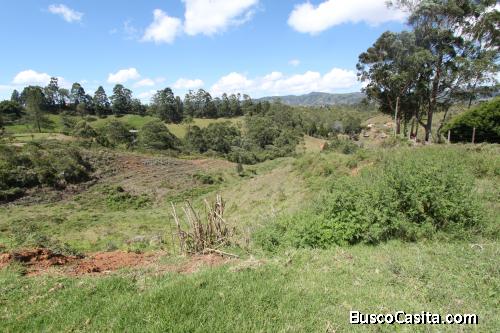 Lote en Guarne vereda Toldas