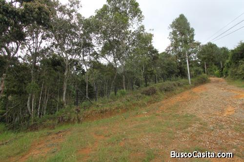 Lote 20.000 mts en El Molino, Guarne