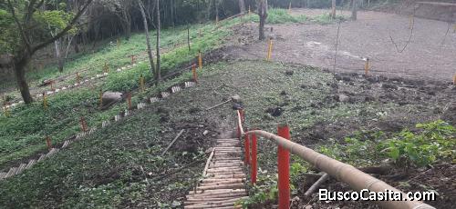 VENDO EXCELENTES LOTES CAMPESTRES. CERCA AL PUEBLO.