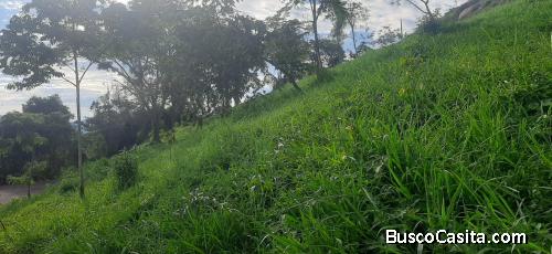 VENTA DE EXCELENTES LOTES CAMPESTRES.